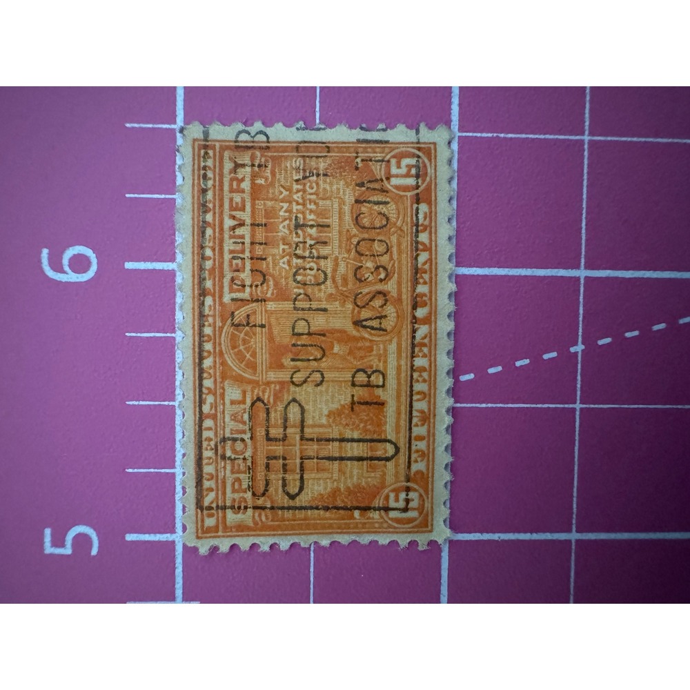 Vintage US 15 Cent Special Delivery Stamp Support TB Association Overprint